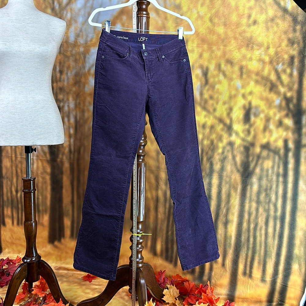 Plum curvy boot cords, slight stretch